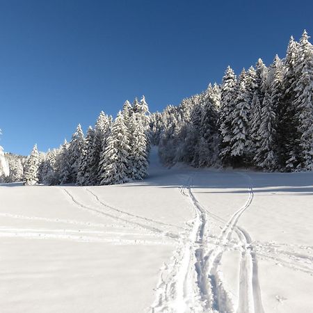 Gite La Resilience, Sur La Piste De Ski D'Autrans Exterior photo
